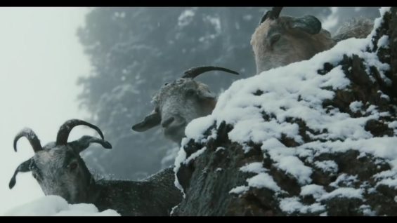 Ford — Raised by Goats thumbnail