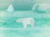 The Arctic Bay — arctic_bear thumbnail